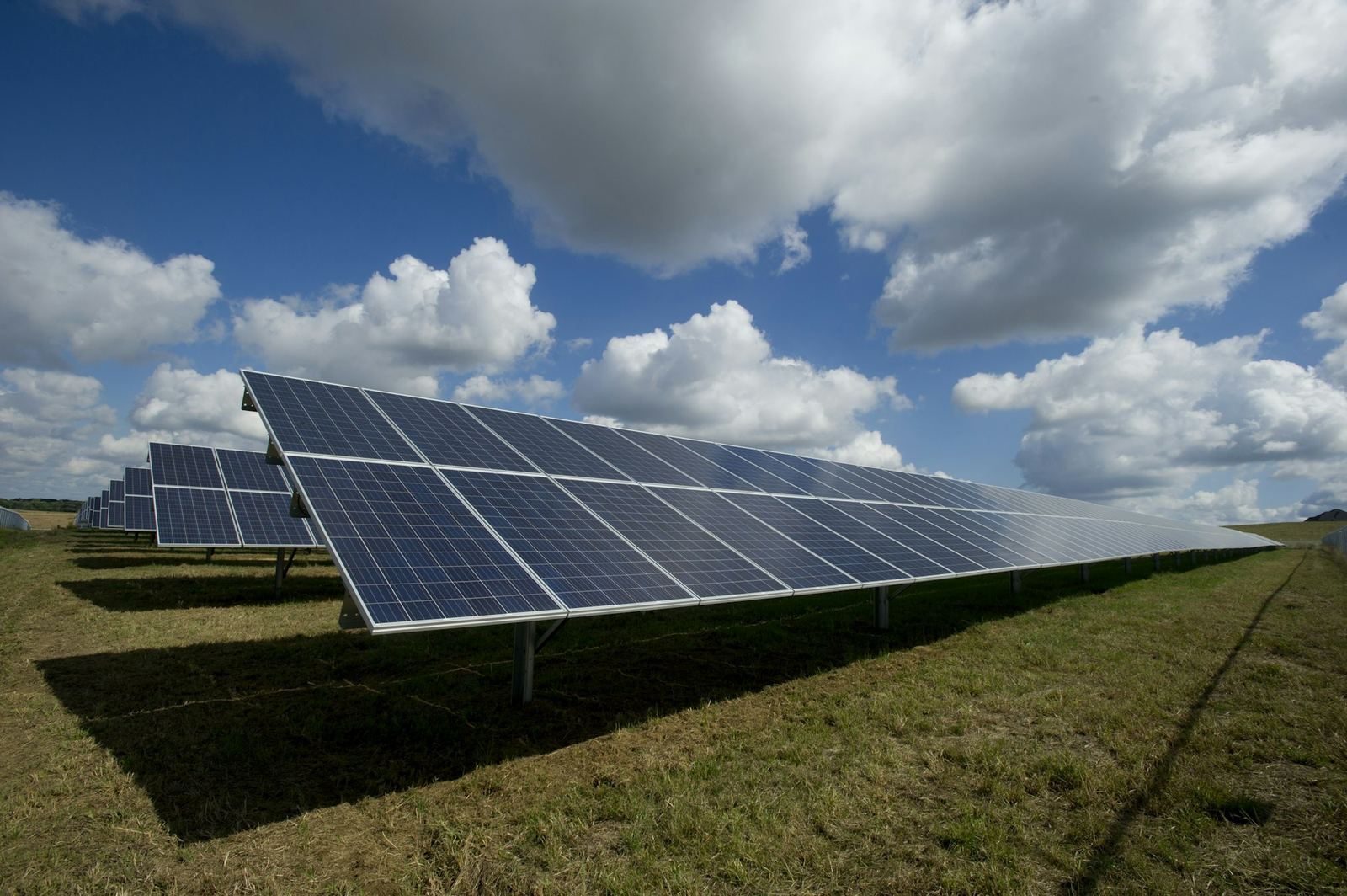 Rows of solar panels capturing sunlight